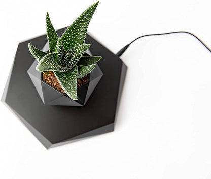 Rotating Magnetic Levitation Flower Pot - SKØRTER
