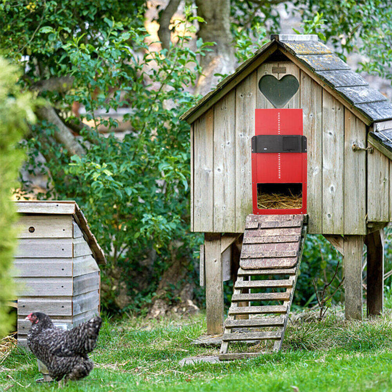 Skorter | Light Sensor Automatic Chicken Coop