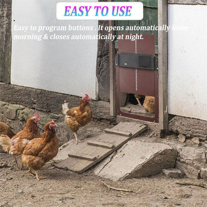 Skorter | Light Sensor Automatic Chicken Coop