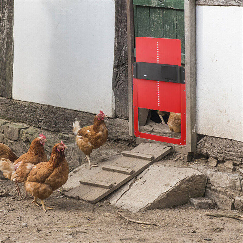 Skorter | Light Sensor Automatic Chicken Coop