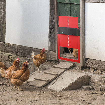 Skorter | Light Sensor Automatic Chicken Coop