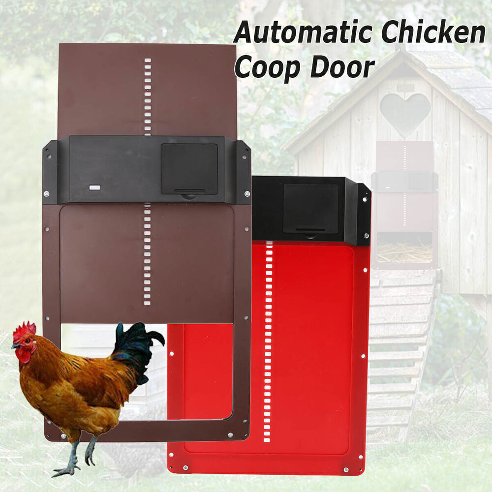 Skorter | Light Sensor Automatic Chicken Coop