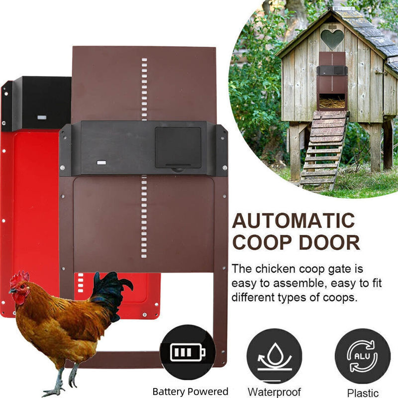 Skorter | Light Sensor Automatic Chicken Coop