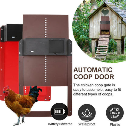 Skorter | Light Sensor Automatic Chicken Coop