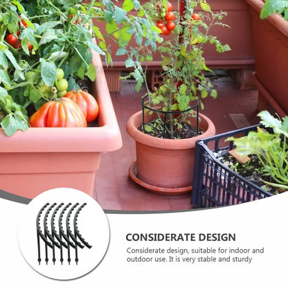 Skorter | Climbing support for plants – Robust holder with cage design for growth and stability