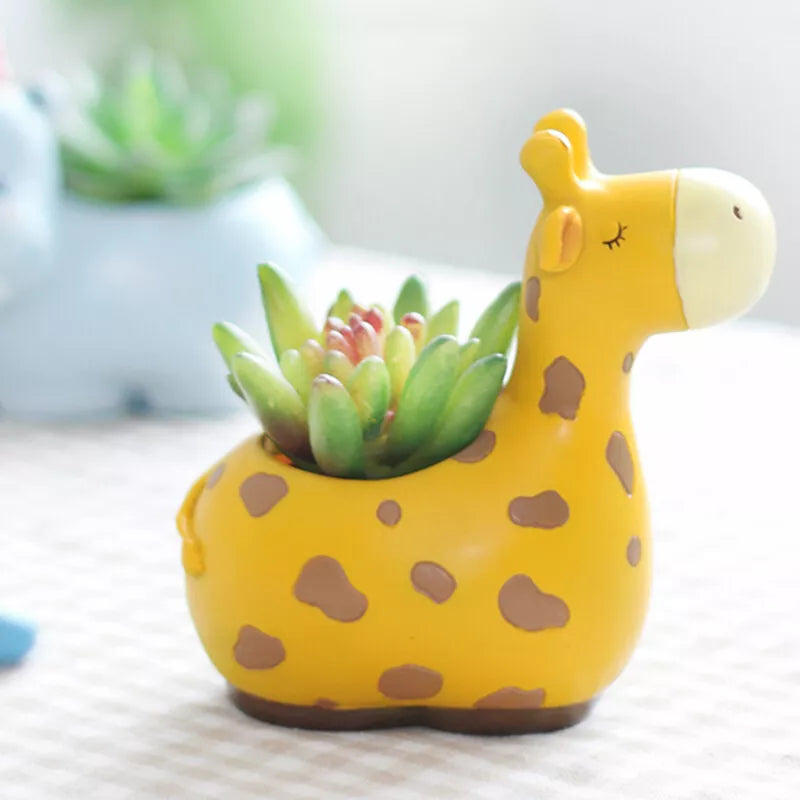 Skorter | Animal Plant Pots – Funny Animal Designs for Succulents and Cacti