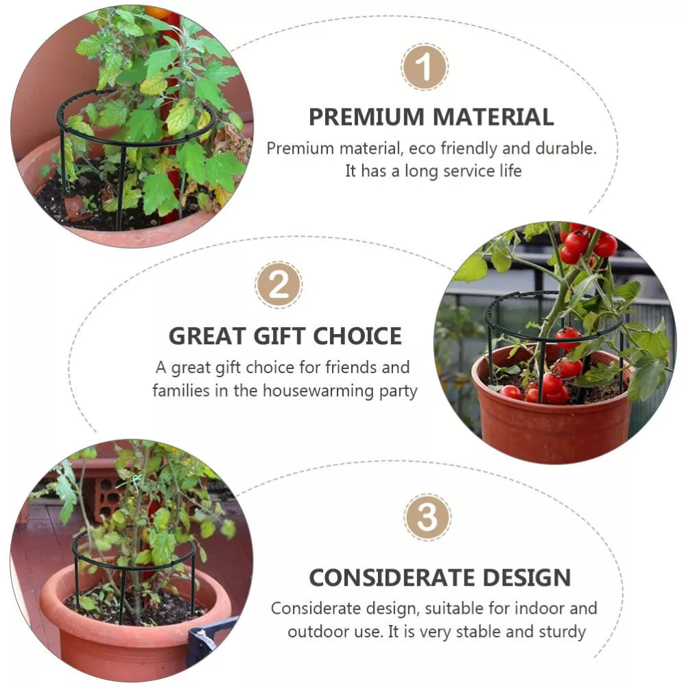 Skorter | Climbing support for plants – Robust holder with cage design for growth and stability