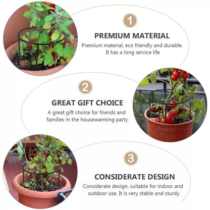 Skorter | Climbing support for plants – Robust holder with cage design for growth and stability