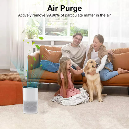 Skorter | Compact Air Purifier | True HEPA Filter, Ultra-Quiet & Ideal for Small to Medium Rooms