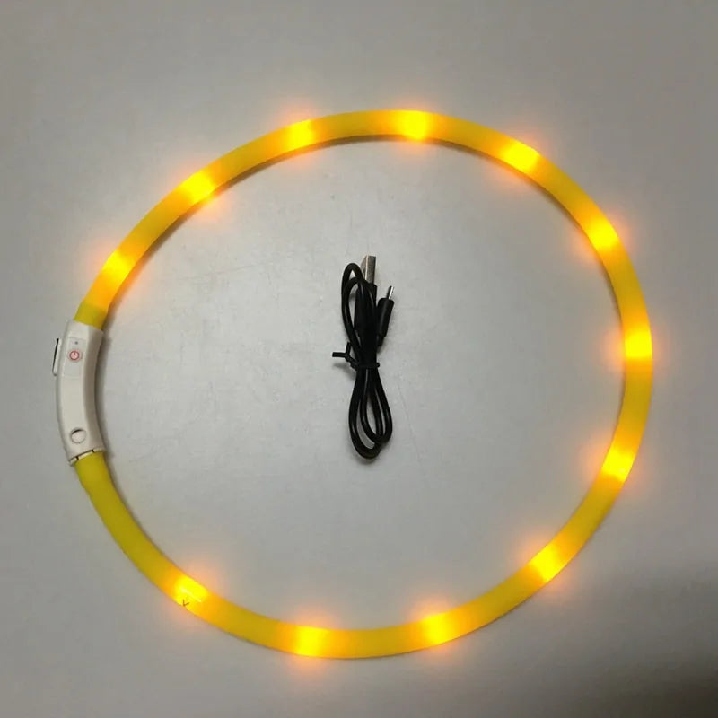 Skorter | LED Pet Collar