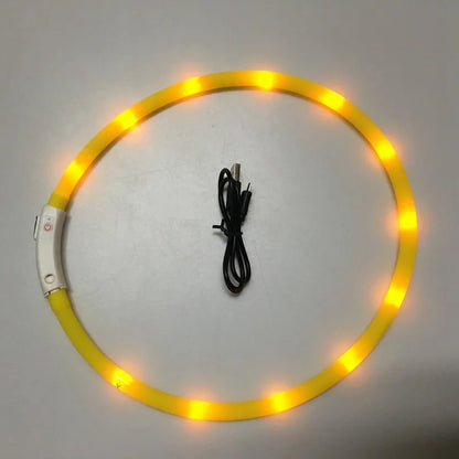 Skorter | LED Pet Collar