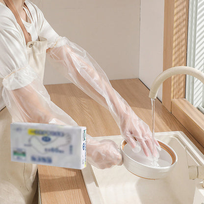 skorter | Disposable Gloves