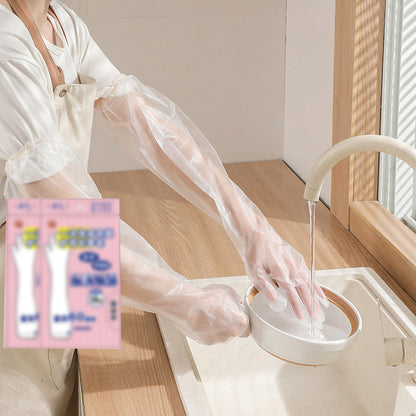 skorter | Disposable Gloves