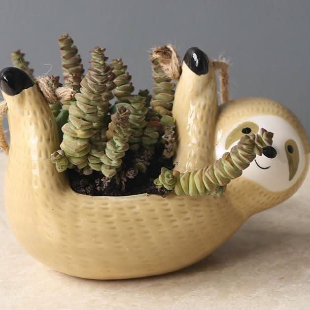 Skorter | LUMA – Stylish Hanging Sloth Vase for Your Spaces