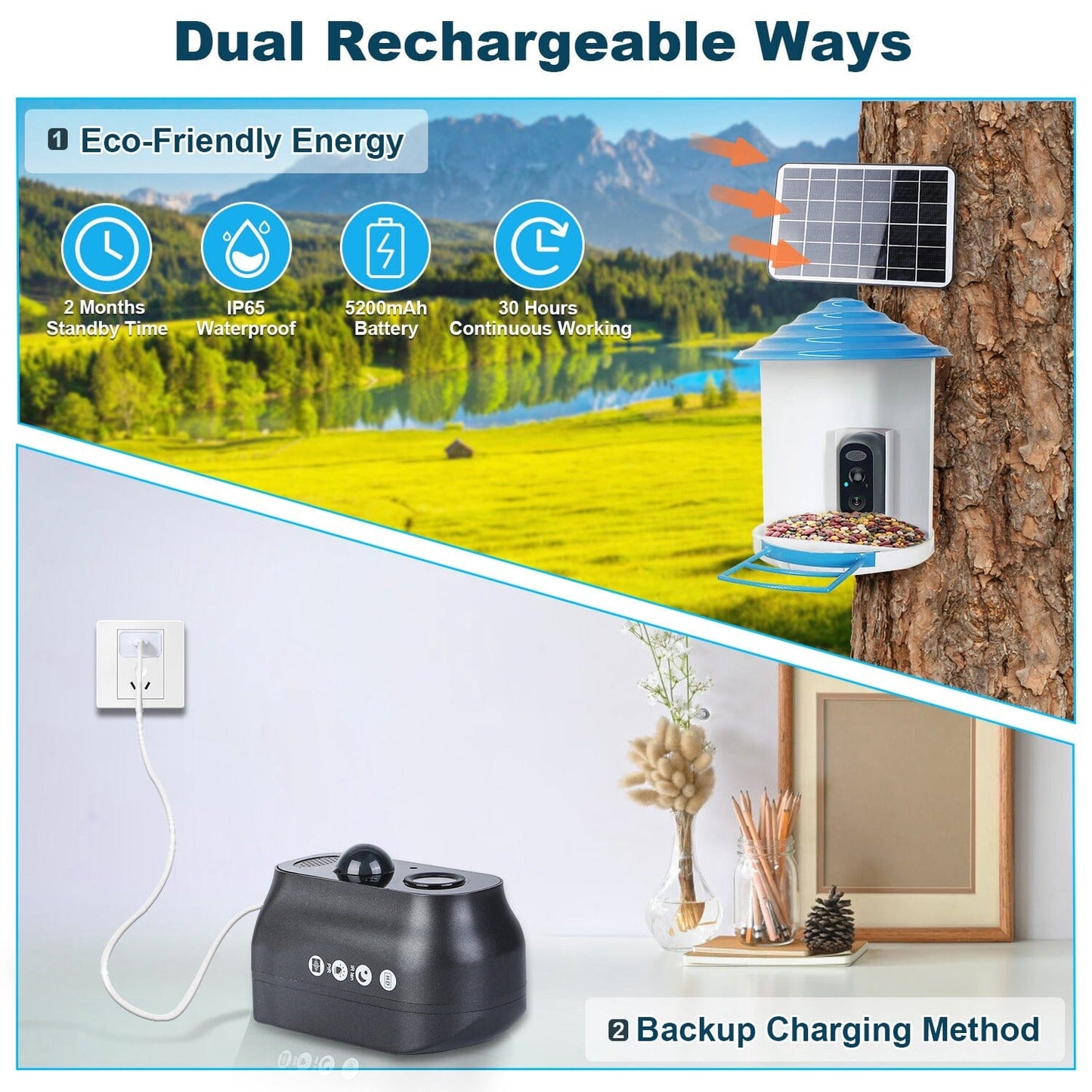 Skorter | Smart Bird Feeding Station with Solar-Powered Camera 1080P HD AI Identification PIR