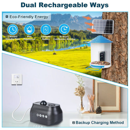 Skorter | Smart Bird Feeding Station with Solar-Powered Camera 1080P HD AI Identification PIR