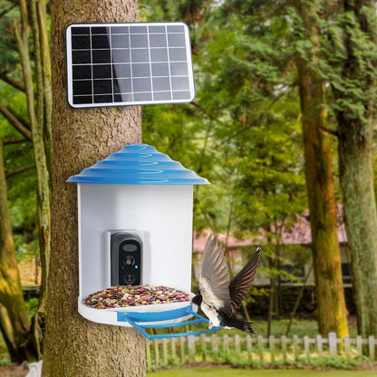 Skorter | Smart Bird Feeding Station with Solar-Powered Camera 1080P HD AI Identification PIR