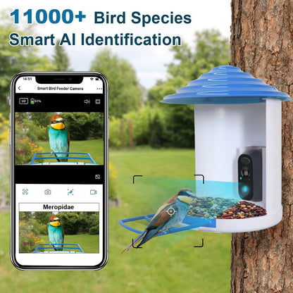 Skorter | Smart Bird Feeding Station with Solar-Powered Camera 1080P HD AI Identification PIR