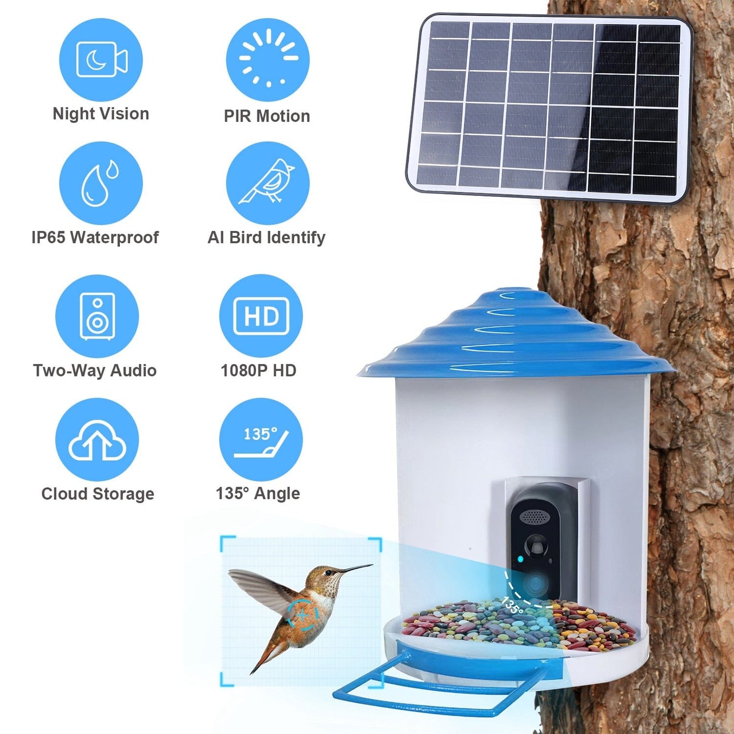 Skorter | Smart Bird Feeding Station with Solar-Powered Camera 1080P HD AI Identification PIR