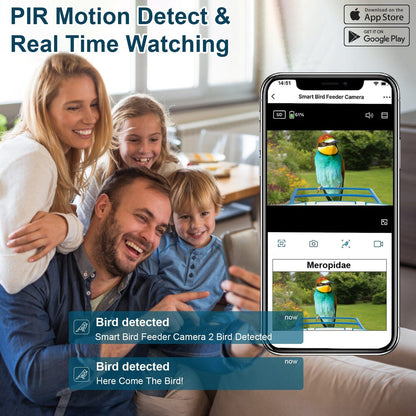 Skorter | Smart Bird Feeding Station with Solar-Powered Camera 1080P HD AI Identification PIR