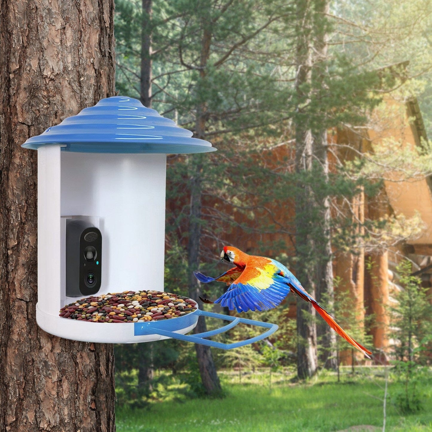 Skorter | Smart Bird Feeding Station with Solar-Powered Camera 1080P HD AI Identification PIR