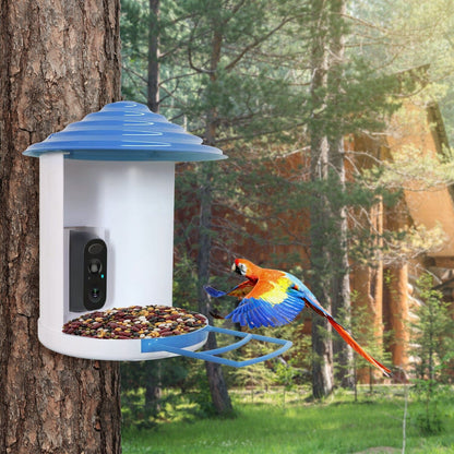 Skorter | Smart Bird Feeding Station with Solar-Powered Camera 1080P HD AI Identification PIR