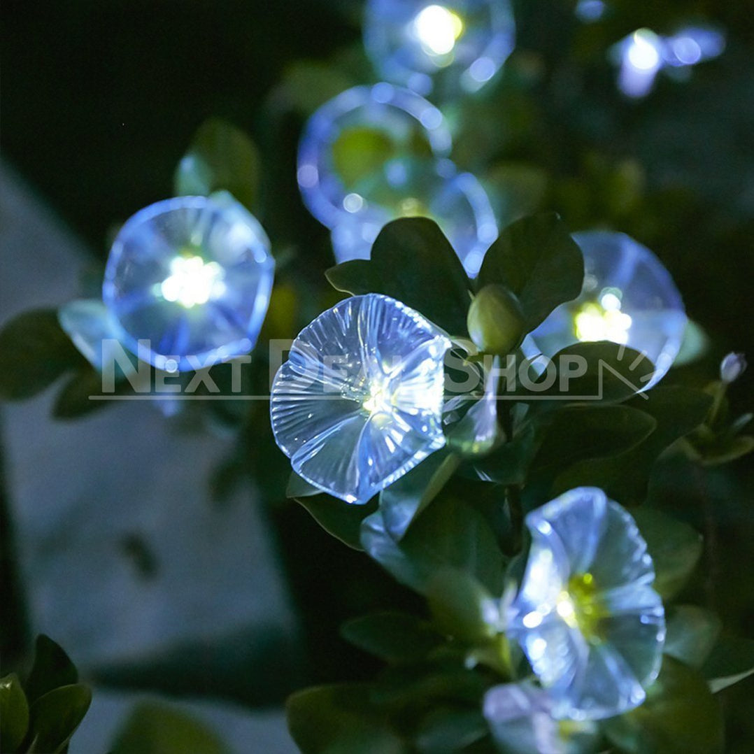 Skorter | Solar-powered Morgenglory Light