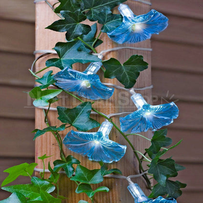 Skorter | Solar-powered Morgenglory Light