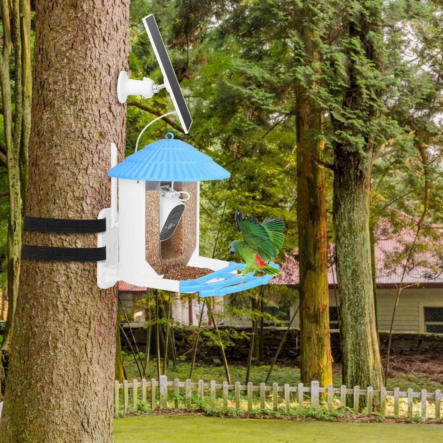 Skorter | Solar-powered smart bird feeder with PIR motion AI two-way sound