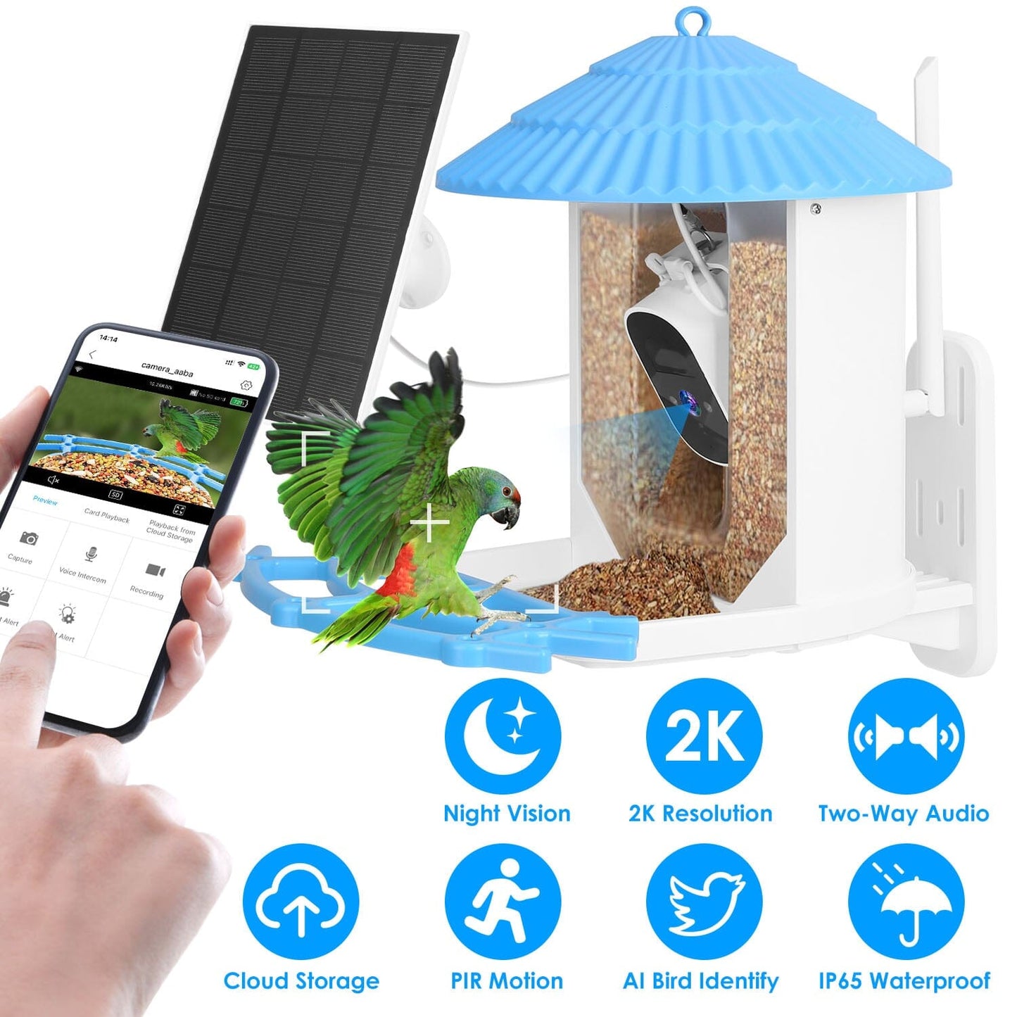 Skorter | Solar-powered smart bird feeder with PIR motion AI two-way sound