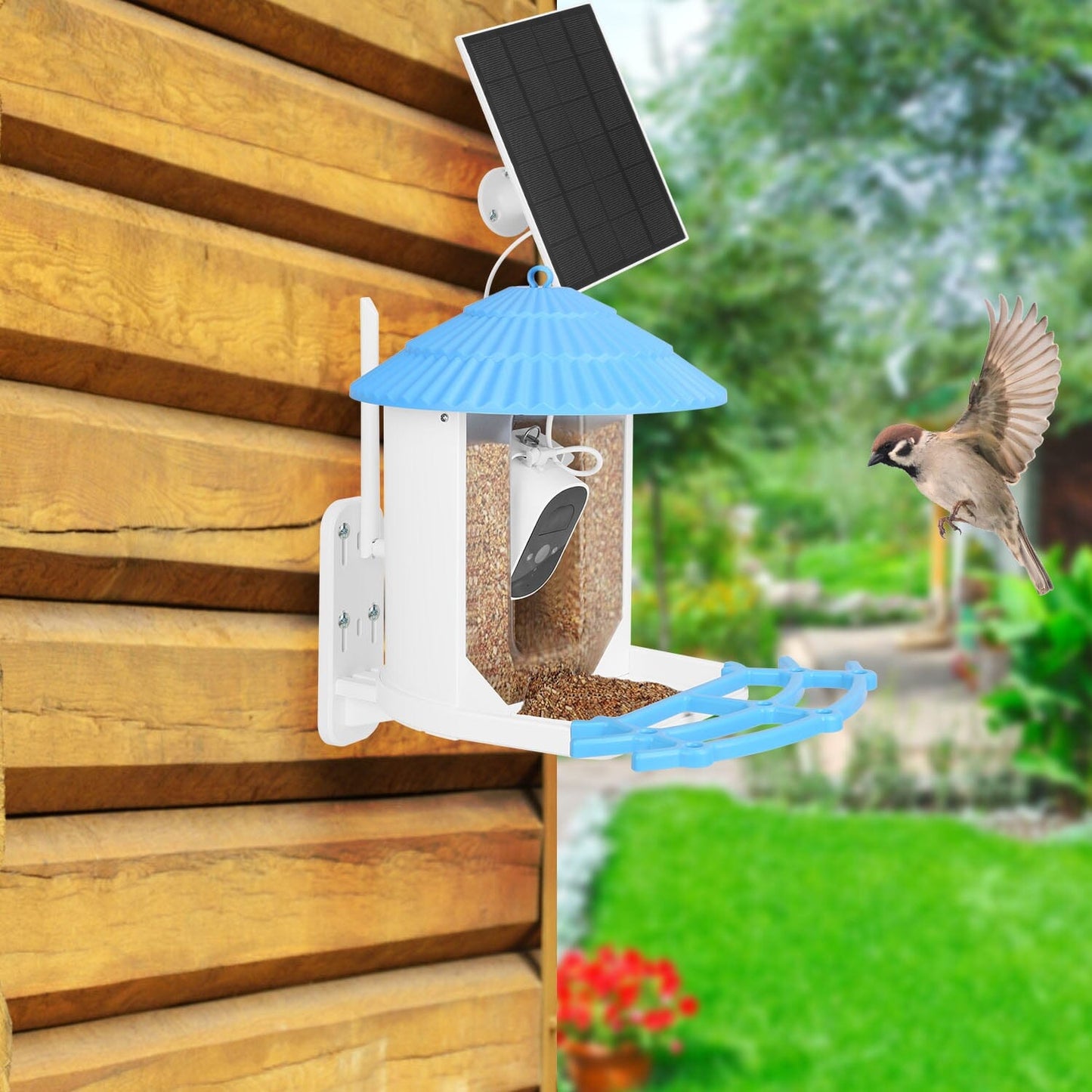 Skorter | Solar-powered smart bird feeder with PIR motion AI two-way sound