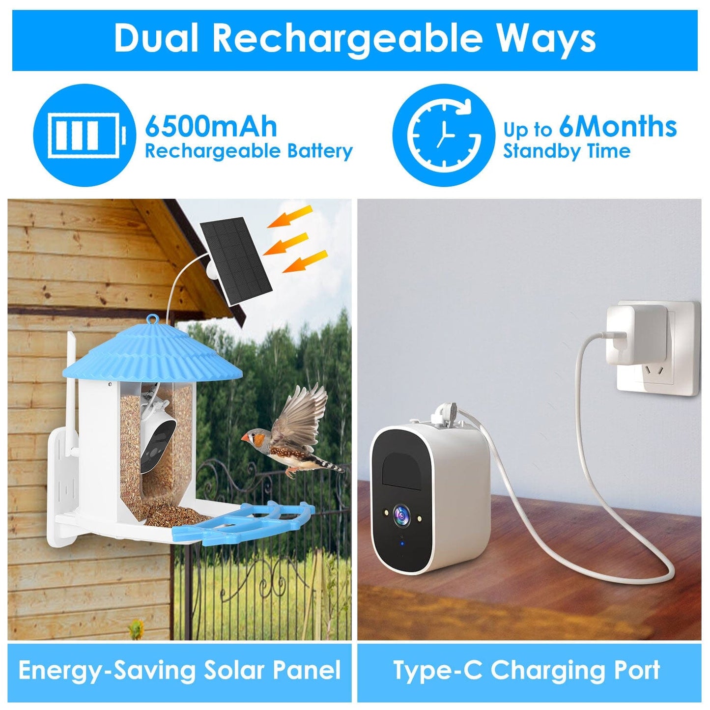 Skorter | Solar-powered smart bird feeder with PIR motion AI two-way sound