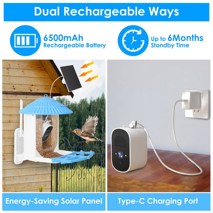 Skorter | Solar-powered smart bird feeder with PIR motion AI two-way sound