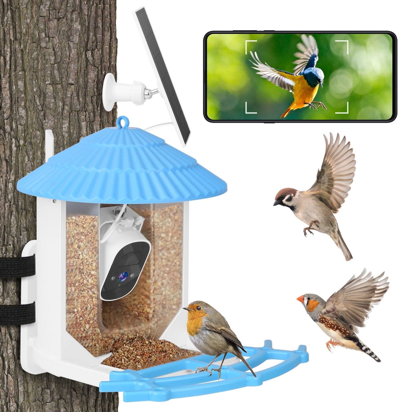 Skorter | Solar-powered smart bird feeder with PIR motion AI two-way sound