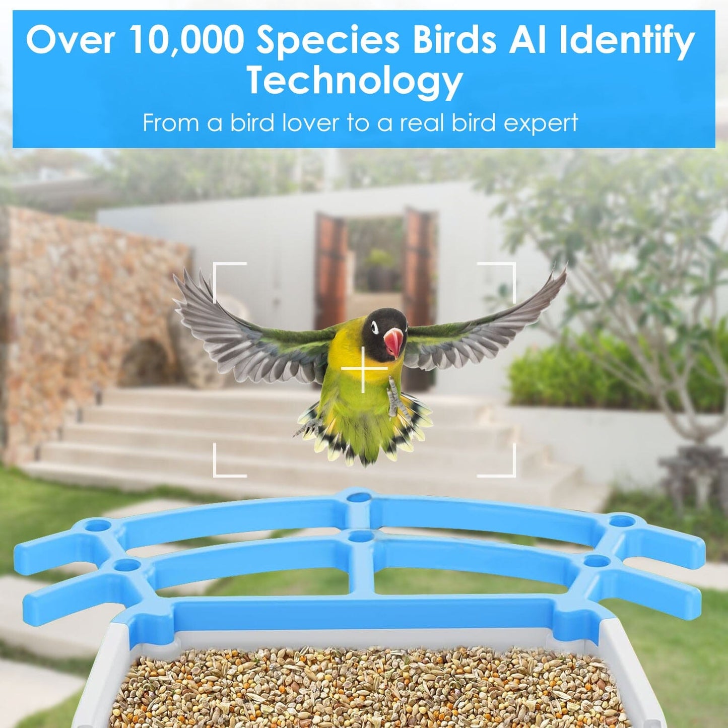Skorter | Solar-powered smart bird feeder with PIR motion AI two-way sound
