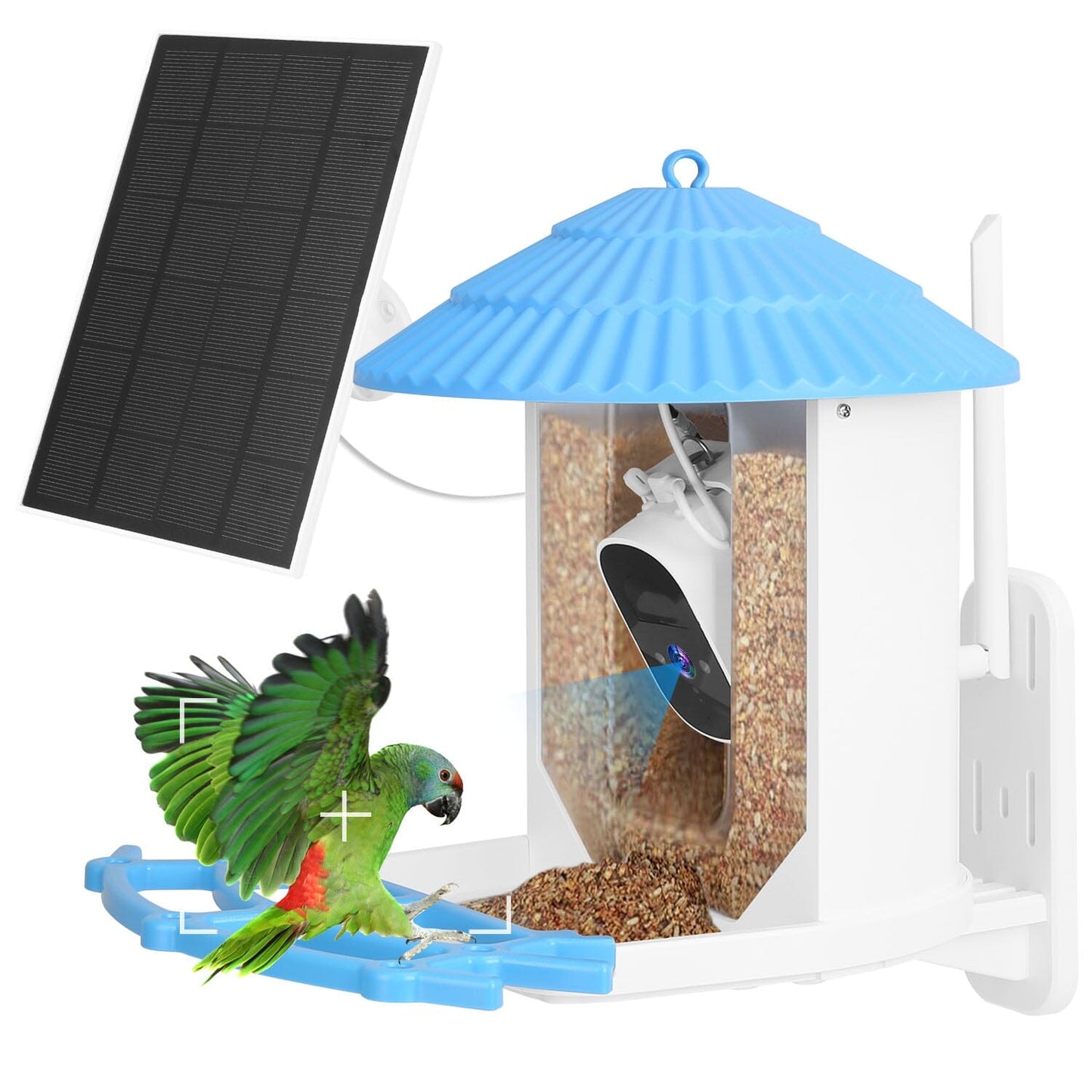 Skorter | Solar-powered smart bird feeder with PIR motion AI two-way sound