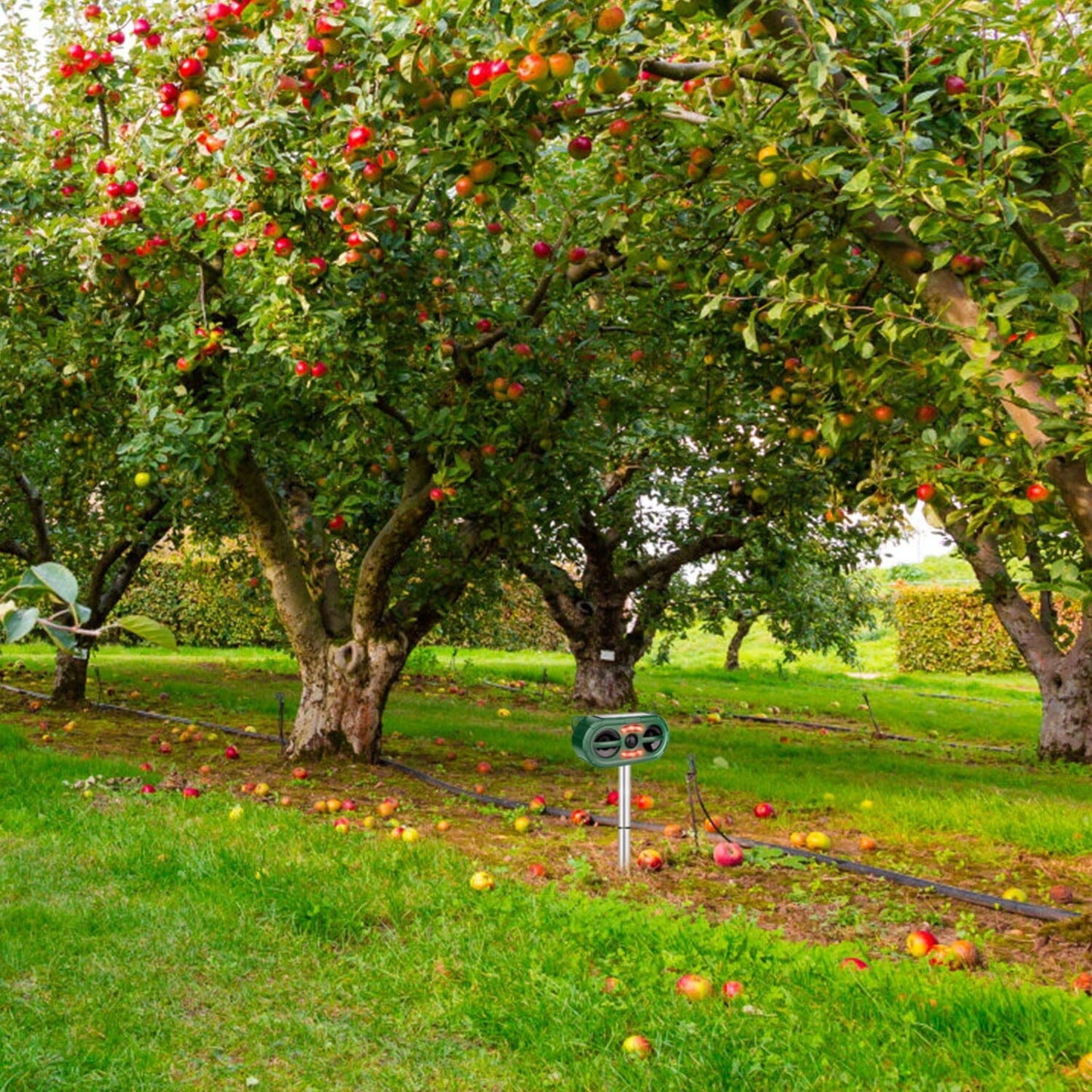 Skorter | Solar battery Ultrasonic Animal Repeller Motion Sensor