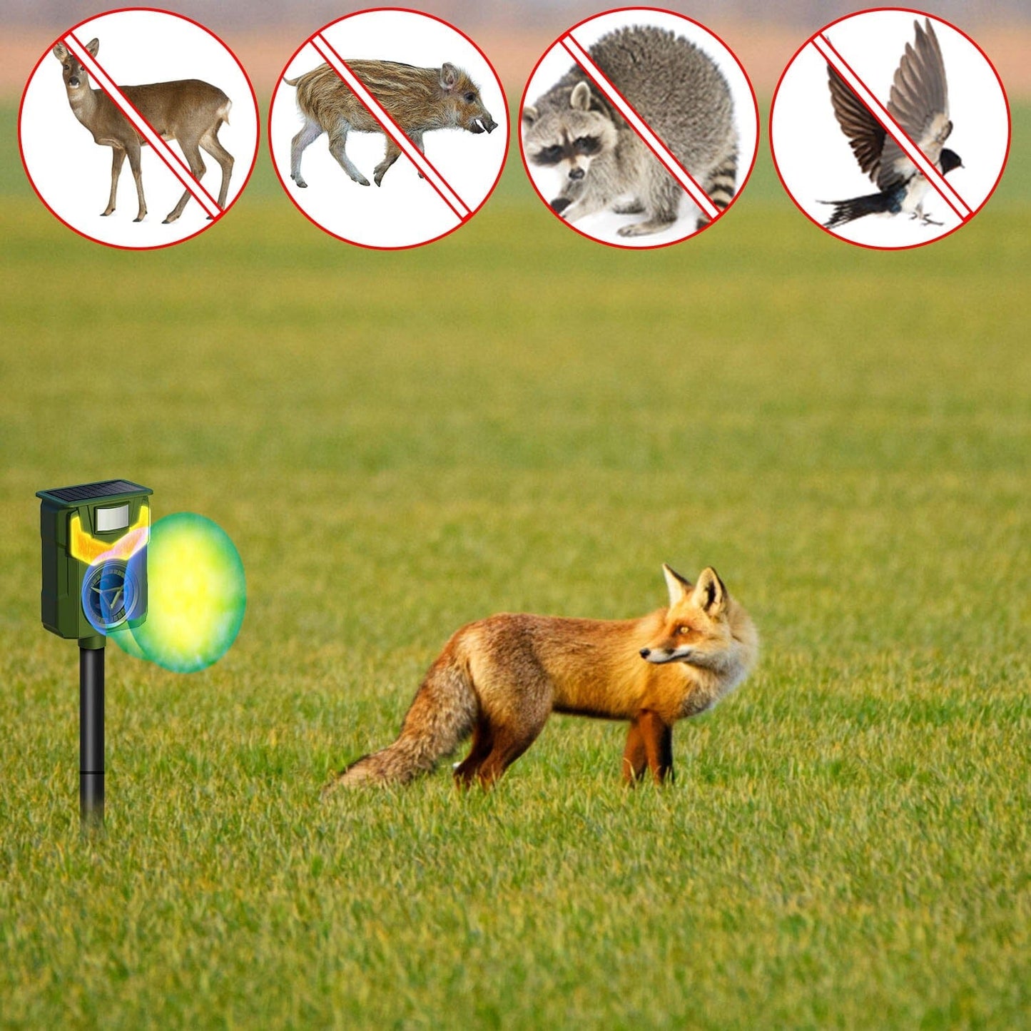 Skorter | Solar Ultrasonic Animal Repeller with Flame Light USB Charging Motion Sensor
