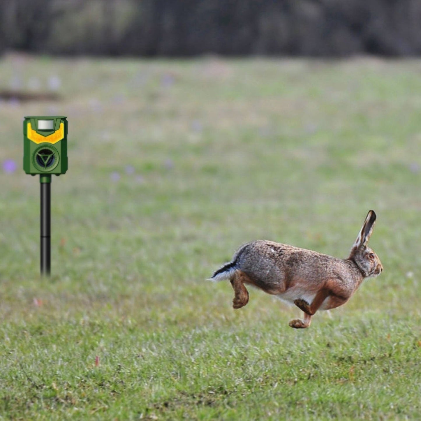 Skorter | Solar Ultrasonic Animal Repeller with Flame Light USB Charging Motion Sensor