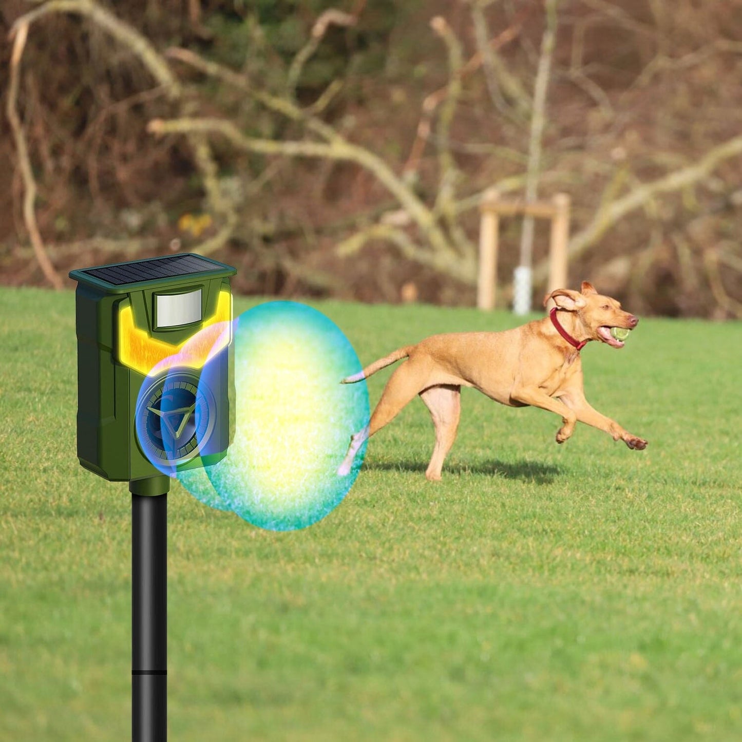 Skorter | Solar Ultrasonic Animal Repeller with Flame Light USB Charging Motion Sensor