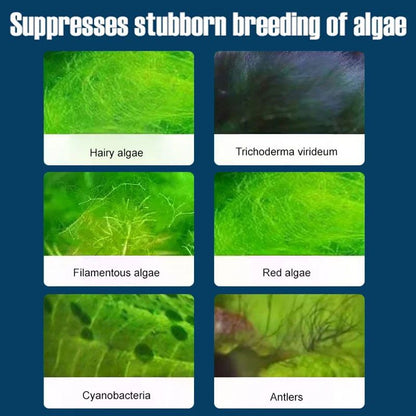 Skorter | Fish Tank Water Purifier Algae Remover