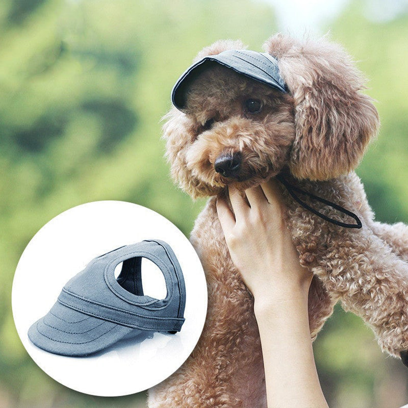 Skorter | Dog hat