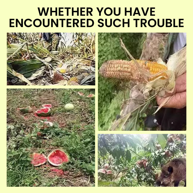 Skorter | Solar-powered animal repellent warning light with high alarm