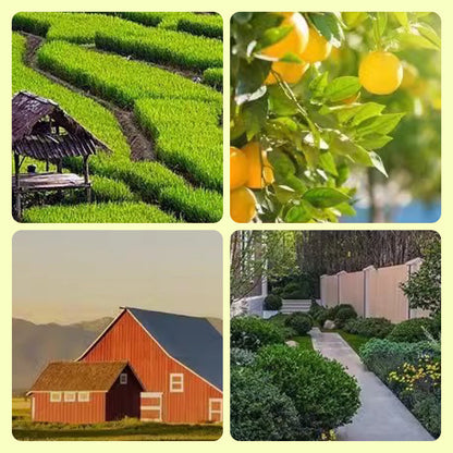 Skorter | Solar-powered animal repellent warning light with high alarm