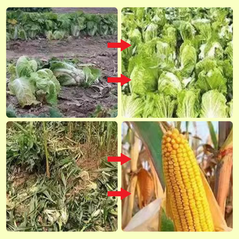 Skorter | Solar-powered animal repellent warning light with high alarm