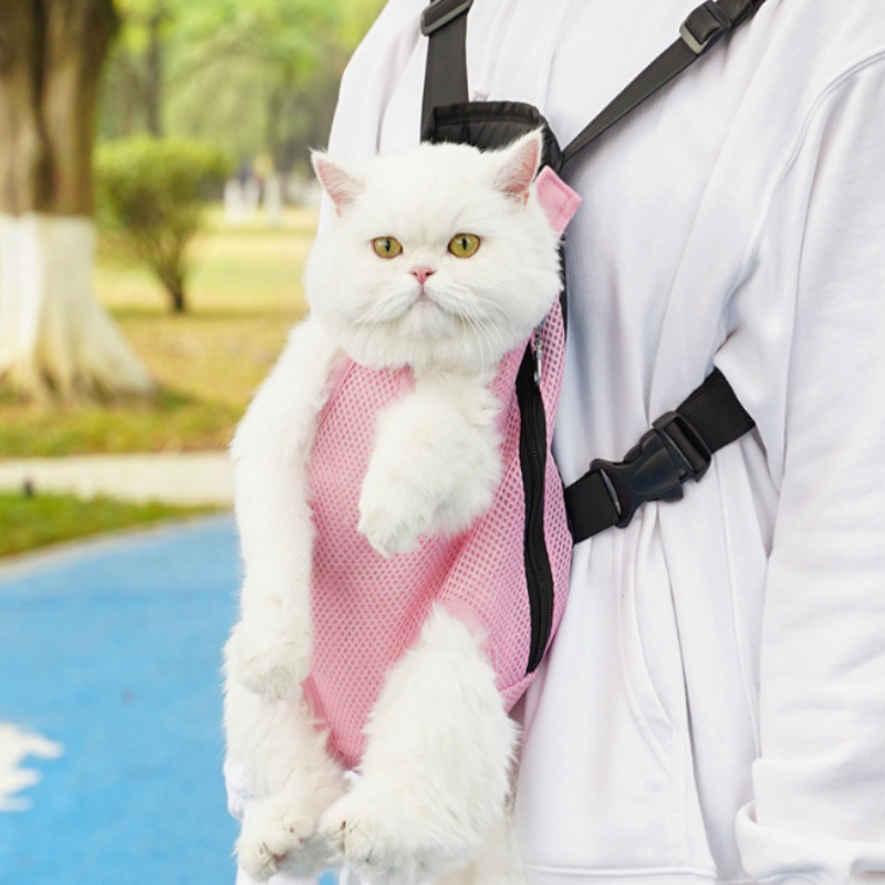 Skorter | FellFreund TravelBuddy – The comfort backpack for on the go