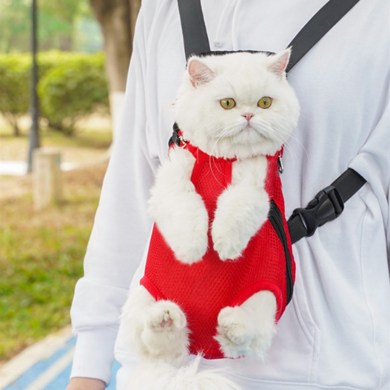 Skorter | FellFreund TravelBuddy – The comfort backpack for on the go