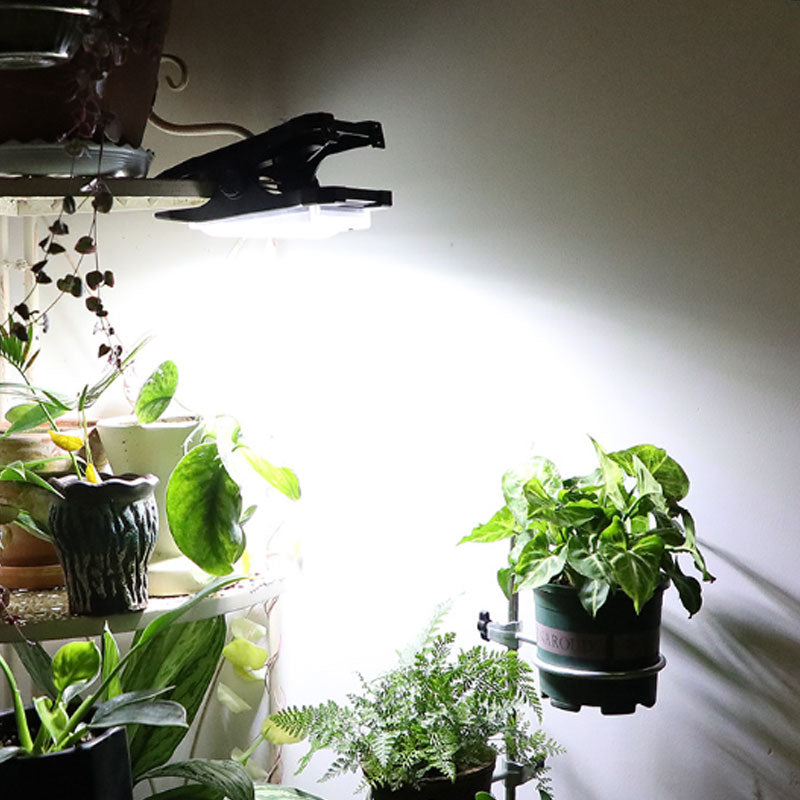 Skorter | Solar Outdoor Clip Light with Motion Sensor