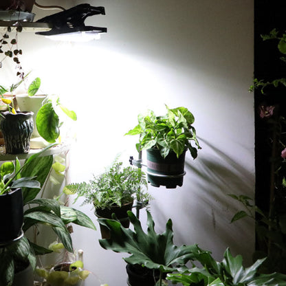 Skorter | Solar Outdoor Clip Light with Motion Sensor