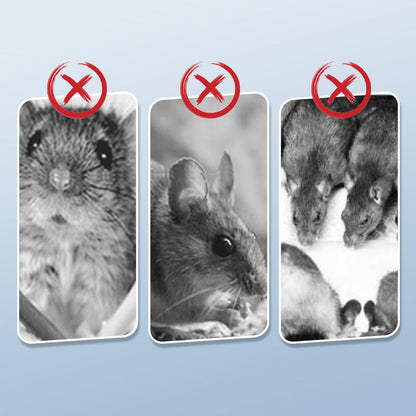 Skorter |  Powerful mouse trap with high sensitivity